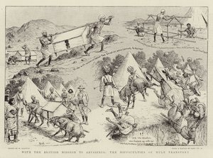 ब्रिटिश मिशन के साथ Abyssinia, Mule Transport की कठिनाइयाँ